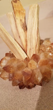 Palo Santo Sticks
